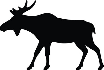 Silhouette portrays a majestic moose walking gracefully against the isolated white plain background