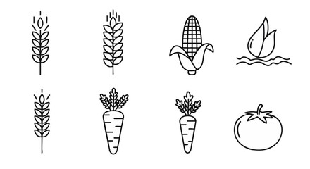 Vector icon set of farm crops and vegetables. Outline symbols for wheat, corn, carrot, and tomato isolated on a white background © omar bonyan