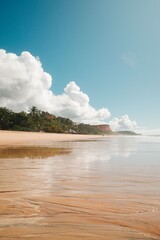Serene Tropical Beach with Golden Sands
