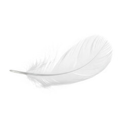 Obraz premium A delicate white feather isolated on transparent background