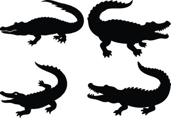 Fototapeta premium Crocodile Vector Art