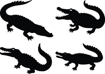 Crocodile Vector Art