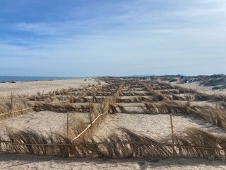 sand dunes on the beach