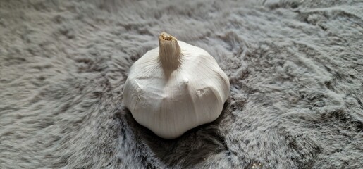 Whole garlic bulb with papery white skin and natural texture, perfect for culinary, herbal, and medicinal themes in food and wellness projects.
