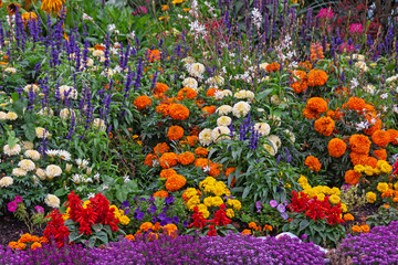 Buntes Blumenbeet