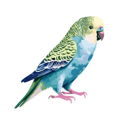 水彩で描かれたインコのイラスト