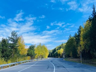 road in autumn