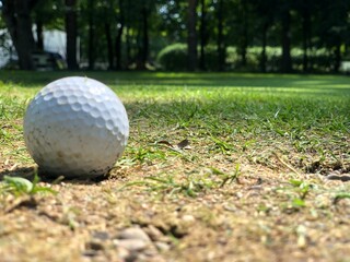 Golf Ball on the Green Ground