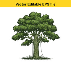 Fototapeta premium Vector art of arborist climbing a large tree for pruning, isolated on white background 