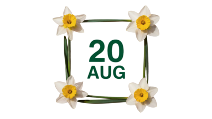 Beautiful white daffodils frame a date for a fresh spring celebration or event announcement