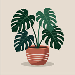 Obraz premium Clean and modern vector monstera plant in pot illustration for home decor and indoor plants lovers with tropical foliage design art