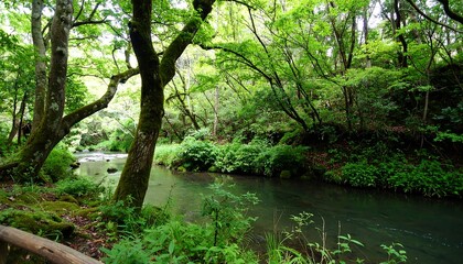 Lush forest stream