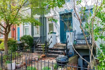 Fresh greenery and bright sunlight bring life to classic D.C. homes in spring.