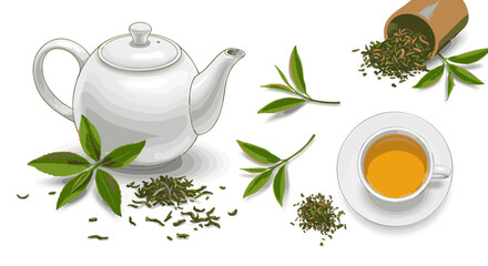 Vector set illustrating green tea elements, including a white ceramic teapot, a cup of brewed beverage, and fresh and dried leaves.