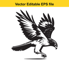 Fototapeta premium Vector art of eagle in flight isolated on white background long horn, , long horn