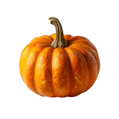 Fototapeta premium pumpkin isolated on white background