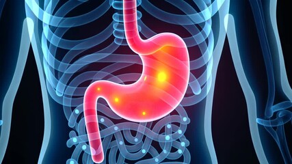 stomach scan, gastric imaging, ulcer detection. Digestive health. Stomach ulcers seen in images. Stomach lining inflammation detected. Human stomach scan interpretation. Step 5) Generate keywords