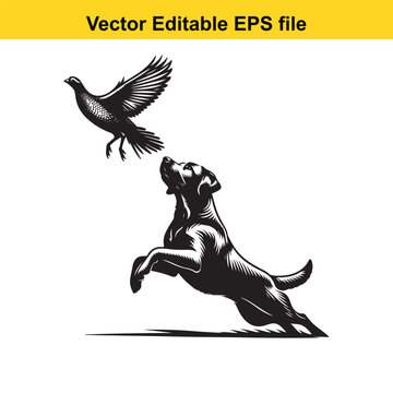 Vector art of labrador dog jumping to catch a bird, isolated on white background long horn, , long horn