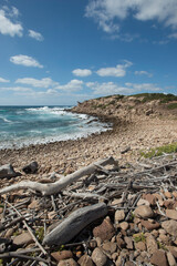 coast of the sea, rocks and heavy trunks drifted ashore with rough sea, blue sky and clouds. Porticciolo, Porto Ferro, Alghero, Sardinia, Italy
