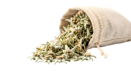 Edelweiss Flowers Spill Out of a Burlap Bag on a Transparent Background in a Studio Shot