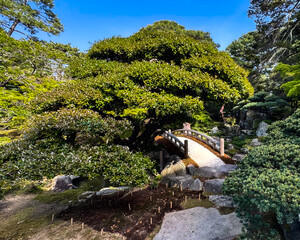 japanese garden in autumn
