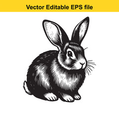 Vector art of cute rabbit sitting isolated on white background long horn, , long horn