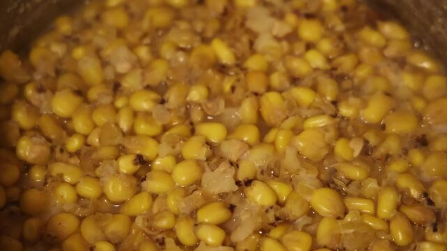 dent corn boiling in pot in preparation cooking of nixtamal nixtamalization process to extract nutrients and dissolve husks in lime ash boil stir tortilla masa flour tamale mayan maya traditional