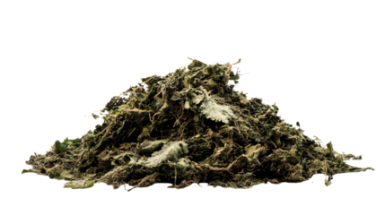 a pile of dried leaves on a white surface