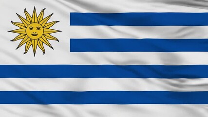 Waving flag of Uruguay showing fabric texture and wrinkles - Powered by Adobe