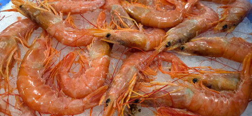 Fresh pink prawns displayed on crushed ice at a seafood market. Close-up view highlights texture...