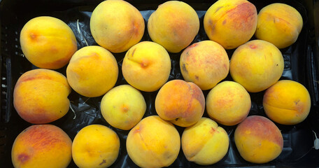 Fresh yellow peaches with red blush arranged in a plastic crate, ready for market or storage. fruits, harvest