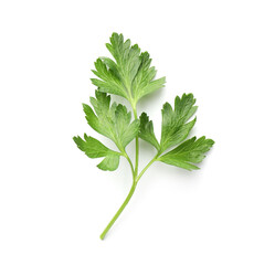 Sprig of fresh parsley isolated on white, top view