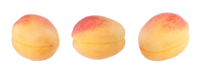 Fresh ripe apricot isolated on white, set