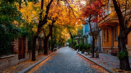 Naklejka premium Autumn street with colorful foliage-covered trees and a cobblestone road passing alongside colorful buildings during the day.
