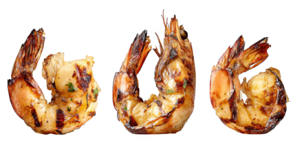 Colorful trio of shrimps, a closeup look at varying sizes and vibrant hues three