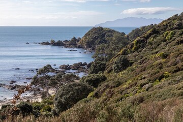 Obraz premium Coastal view of a rocky shoreline with lush green vegetation in Tawharanui Regional Park, Warkworth, Auckland, New Zealand. The scene captures the natural beauty of the landscape.