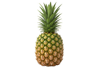 A single pineapple with vibrant green leaves.