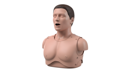 Realistic Tan CPR Training Mannequin with Open Mouth on Transparent Background Medical Dummy for First Aid and Healthcare Practice and Emergency Rescue Preparation