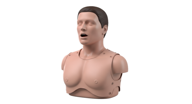 Realistic Tan CPR Training Mannequin with Open Mouth on Transparent Background Medical Dummy for First Aid and Healthcare Practice and Emergency Rescue Preparation