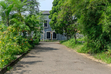 Driveway Leading to a House Surrounded by Lush Greenery