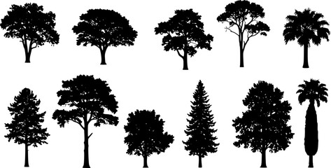Fototapeta premium Tree silhouette vector. Isolated forest trees on white background
