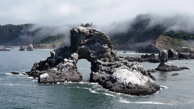 Sea Lion Rock Indian Beach Pacific Ocean