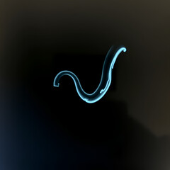 Fototapeta premium Fluoroscopic footage of a barium swallow test showing real-time esophageal function, used to assess dysphagia, GERD, and structural abnormalities.