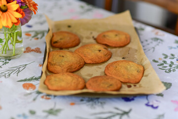 Fresh Chocolate Chip Cookies on a Tray in Cozy Home Setting A batch of freshly baked chocolate chip cookies rests on a tray in a warm, cozy home environment. 