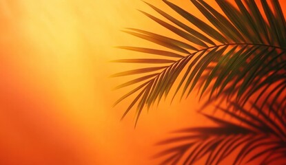 Sunlit palm leaf casting shadow on vibrant orange background with warm glowing sunlight effect