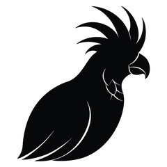 Black silhouette of a cockatoo bird with crest raised on white background vector