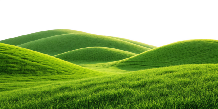 Serene Rolling Green Hills Landscape with Lush Grass and Tranquil Atmosphere on Transparent Background
Peaceful Vibrant Green Hills Scene with Soft Natural Lighting and Calm Ambience Isolated PNG