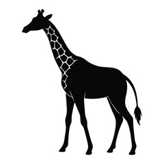Black silhouette of a giraffe with white patterned neck on a white background animal wildlife