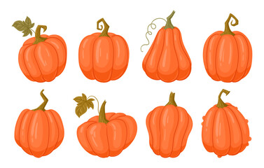Halloween pumpkins. Cartoon fall harvest gourds, squash with leaves flat vector illustration set. Autumn halloween and thanksgiving pumpkins collection