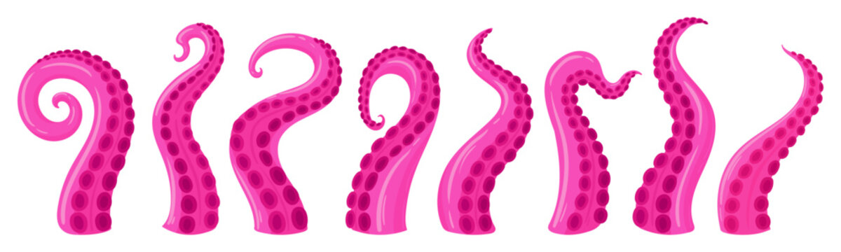 Marine creature palpus. Octopus tentacles, squid twisted limbs with suckers flat vector illustration set. Cartoon ocean cephalopod animal tentacles